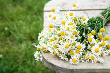 Ahşap Bahçe masaya papatya papatya çiçek. kopya alanı ile.