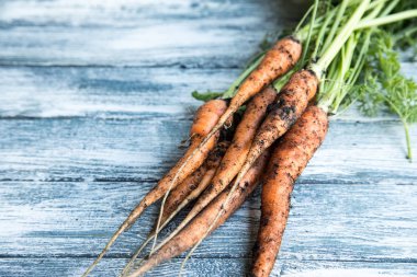 taze havuç tahtaya grup. Demet taze havuç 