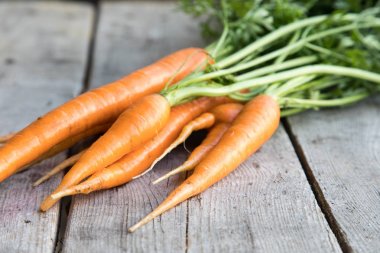 taze havuç tahtaya grup. Demet taze havuç 