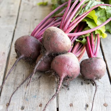 Rustik arka plan üzerinde kırmızı pancar ile yaylı yeşil yaprakları. 