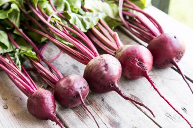 Rustik arka plan üzerinde kırmızı pancar ile yaylı yeşil yaprakları. 