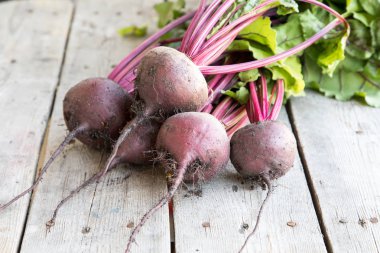 Rustik arka plan üzerinde kırmızı pancar ile yaylı yeşil yaprakları. 