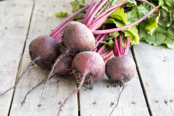 Rustik arka plan üzerinde kırmızı pancar ile yaylı yeşil yaprakları. 