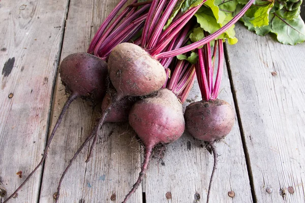 Rustik arka plan üzerinde kırmızı pancar ile yaylı yeşil yaprakları. 