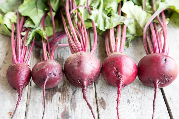 Rustik arka plan üzerinde kırmızı pancar ile yaylı yeşil yaprakları. 