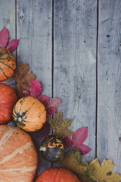 Kürbisse und Herbstblätter auf hölzernem Hintergrund. Herbstkürbis — Stockfoto