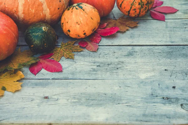 Kürbisse und Herbstblätter auf hölzernem Hintergrund. Herbstkürbis — Stockfoto