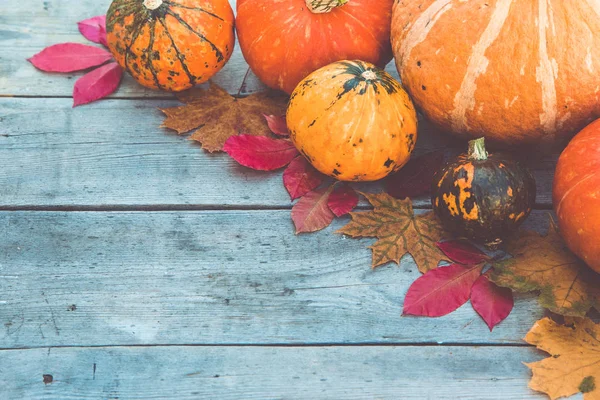 Kürbisse und Herbstblätter auf hölzernem Hintergrund. Herbstkürbis — Stockfoto