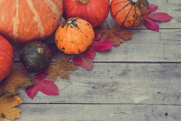 Kürbisse und Herbstblätter auf hölzernem Hintergrund. Herbstkürbis — Stockfoto