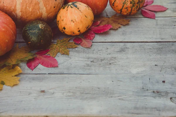 Kürbisse und Herbstblätter auf hölzernem Hintergrund. Herbstkürbis — Stockfoto