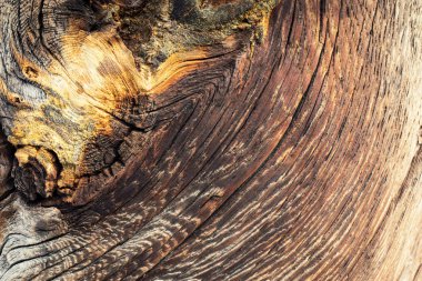 Ahşap doku doğal desenli. ahşap doku closeup
