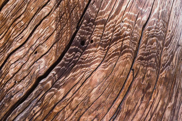 Textura de madeira com padrão natural. close-up de textura de madeira — Fotografia de Stock