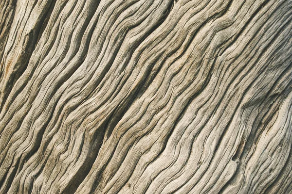 Textura de madera con patrón natural. primer plano de la textura de madera — Foto de Stock