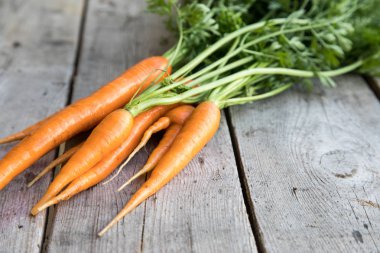 taze havuç tahtaya grup. Taze havuç yeşil l ile demet