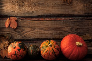 Kabak yapraklar, metin için yer. Mevsimlik Selamlar, sonbahar 