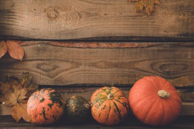 Kabak yapraklar, metin için yer. Mevsimlik Selamlar, sonbahar 