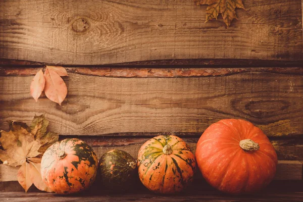 Kürbis mit Blättern, Platz für Text. Saisonale Grüße, Herbst — Stockfoto