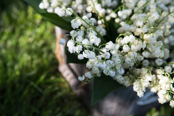 Bouquet of lilies of the valley in a basket. floral background w — Stock Photo, Image