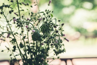 bulanık arka plan ışığı tam kır çiçekleri. Closeup sh