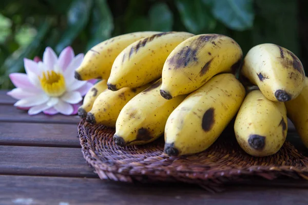Yellow cultivated banana, Raw Organic Yellow Baby Bananas