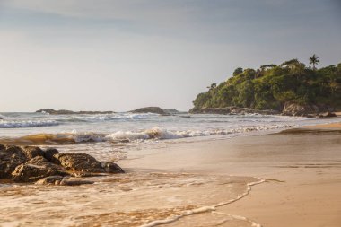 Tropikal plaj. Güzel manzara Hint Okyanusu, Sri Lanka.