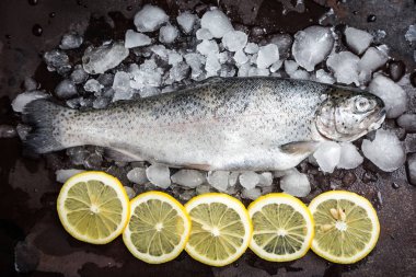 taze balık. Alabalık limon ve baharat koyu arka plan üzerinde. COO