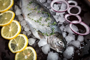 taze balık. Alabalık limon ve baharat koyu arka plan üzerinde. COO