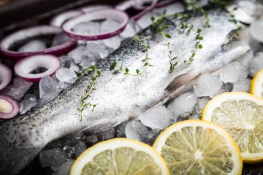 taze balık. Alabalık limon ve baharat koyu arka plan üzerinde. COO