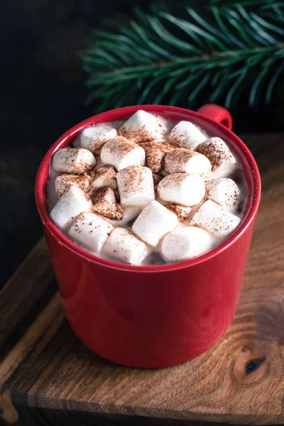 Рождественский напиток Горячий шоколад или какао, зефир и сосна Br — стоковое фото