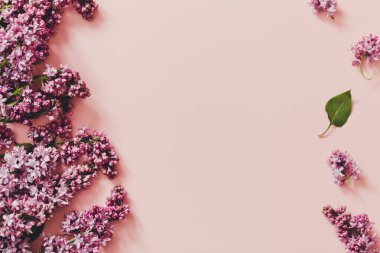 Bahar çiçekleri. Pembe arka planda çiçek açan leylak dalları çerçevesi. Üst Manzara. metin için yer /