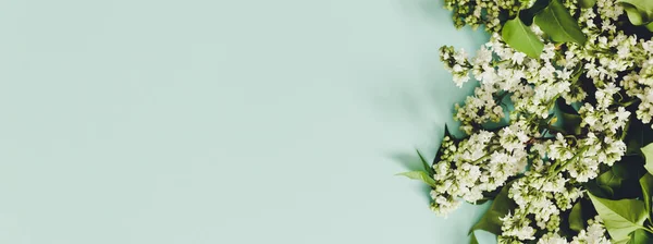 Frühlingsblumen Rahmen Aus Zweigen Blühenden Weißen Flieders Auf Blauem Hintergrund — Stockfoto