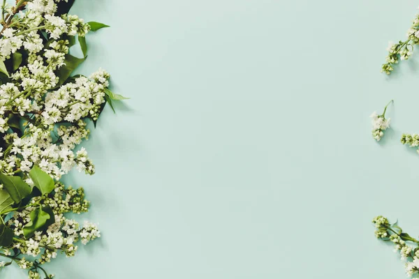 Frühlingsblumen Rahmen Aus Zweigen Blühenden Weißen Flieders Auf Blauem Hintergrund — Stockfoto