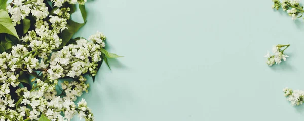 Frühlingsblumen Rahmen Aus Zweigen Blühenden Weißen Flieders Auf Blauem Hintergrund — Stockfoto