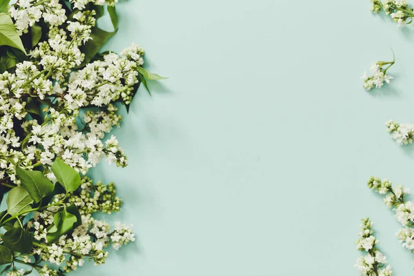 Flores Primavera Marco Ramitas Floración Lila Blanca Sobre Fondo Azul — Foto de Stock