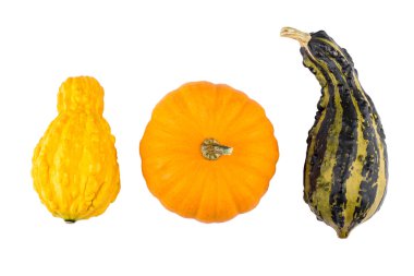  beyaz zemin üzerine dekoratif kabaklar.