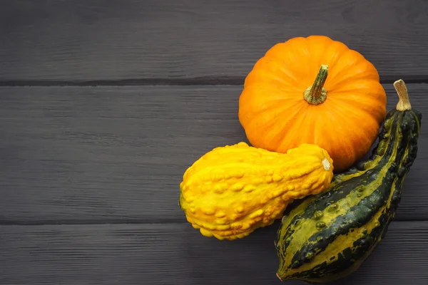 Citrouilles décoratives sur fond en bois — Photo