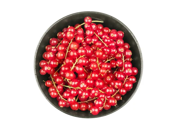 Groselhas vermelhas frescas na tigela em um fundo branco fechar — Fotografia de Stock