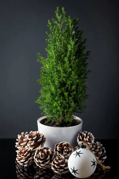 Árbol de Navidad con conos de pino, bola de Navidad sobre un fondo oscuro . —  Fotos de Stock