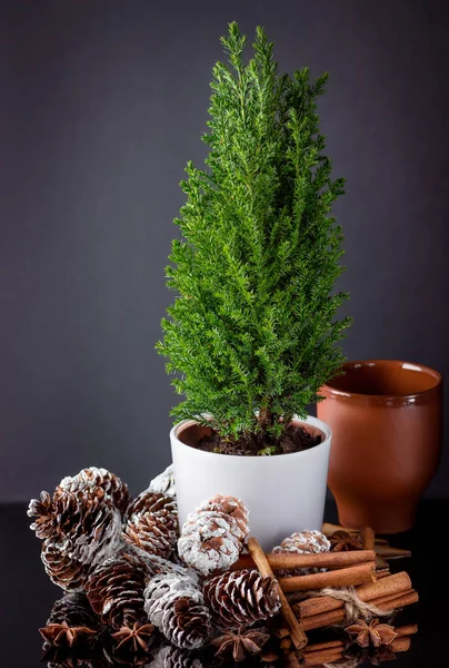 Árbol de Navidad con conos de pino, palitos de canela y taza de arcilla . —  Fotos de Stock