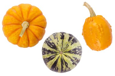 Sevimli küçük dekoratif balkabağı beyaz arka plan üzerinde izole