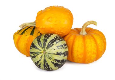 Beyaz arka plan üzerinde izole dekoratif kabak toplama