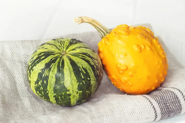 Pequenas abóboras decorativas bonitos no fundo de madeira branco com toalha de cozinha — Fotografia de Stock