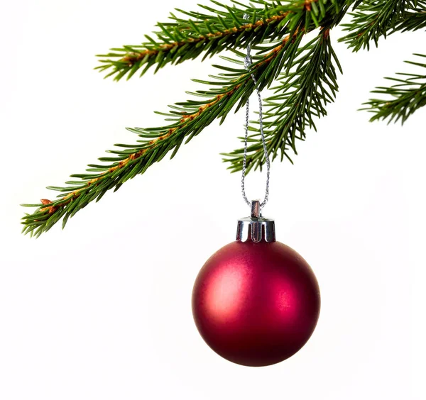 Christmas ball hanging in branch isolated on white — Stock Photo, Image