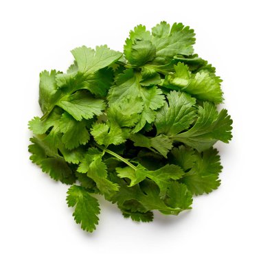 Yukarıdaki beyaz izole kişniş yaprakları