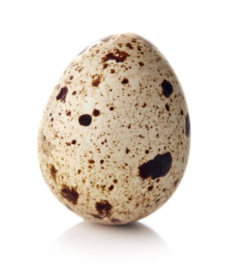 Bıldırcın yumurta üzerinde beyaz izole