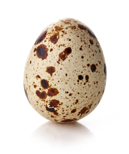 Quail egg isolated on white — Stock Photo, Image
