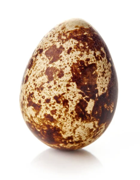 Quail egg isolated on white — Stock Photo, Image