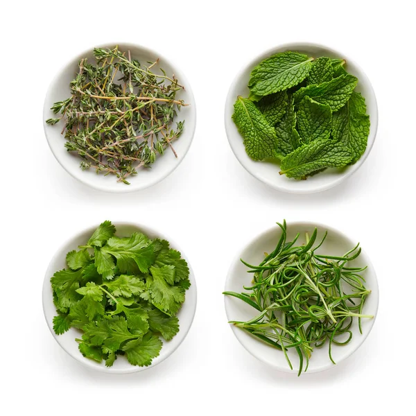 Thyme, rosemary, mint dan daun ketumbar terisolasi pada putih, fr — Stok Foto