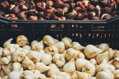 İçinde belgili tanımlık boksör depolanan, temizlenmiş ve farmer's depolama ampuller hazırlanan lale soğanı