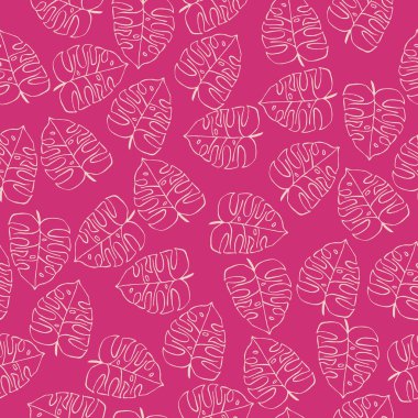  Monstera bırakır. Tropikal yaprak sorunsuz arka plan. 